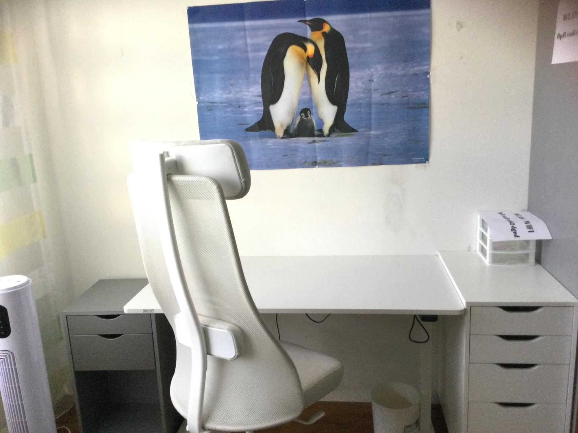 Chambre Spacieuse Et Confortable Avec Ecran Plat Oetwil an Der Limmat Buitenkant foto